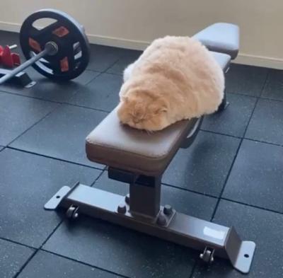 Прикрепленное изображение: 212.jpg